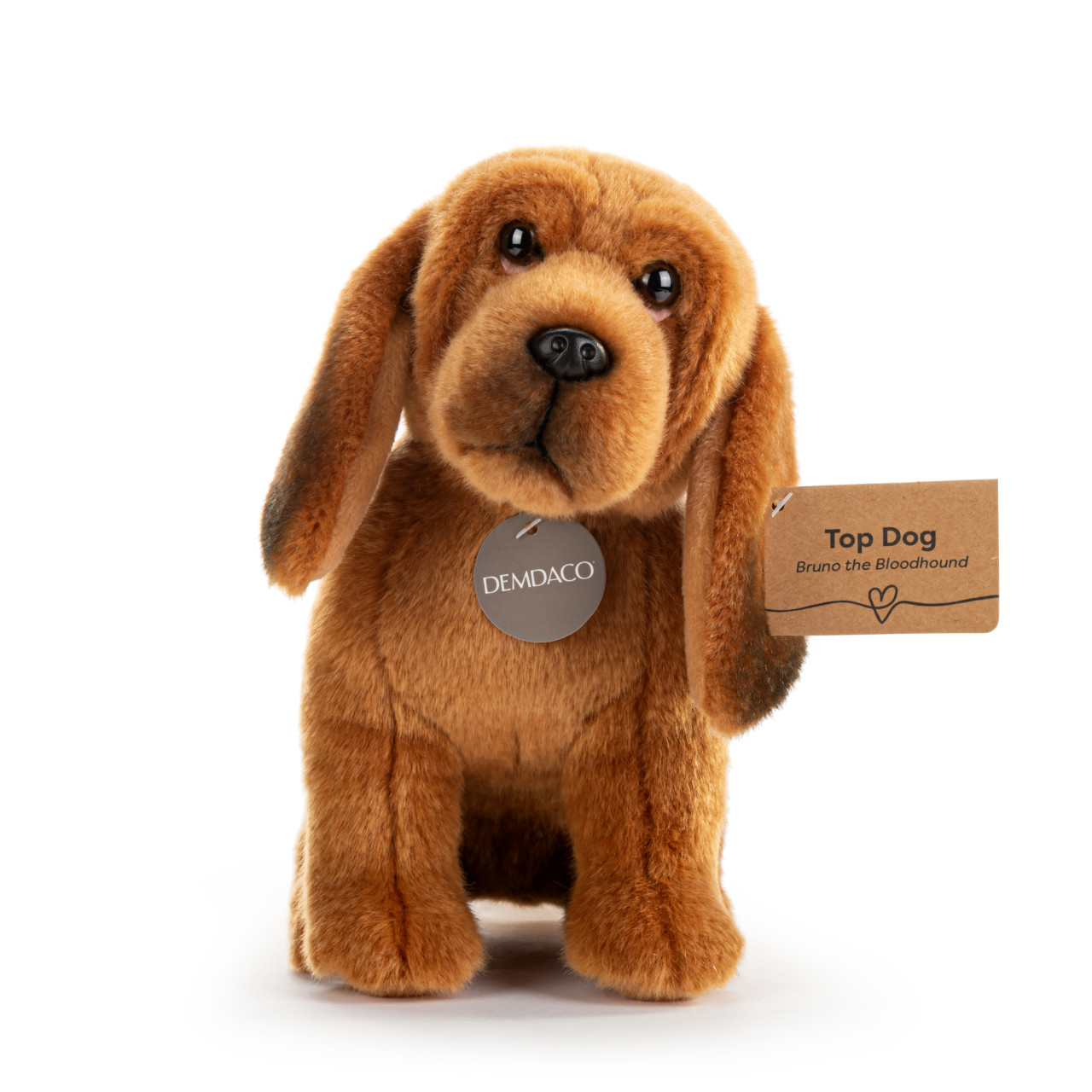 Bloodhound Small thumbnail