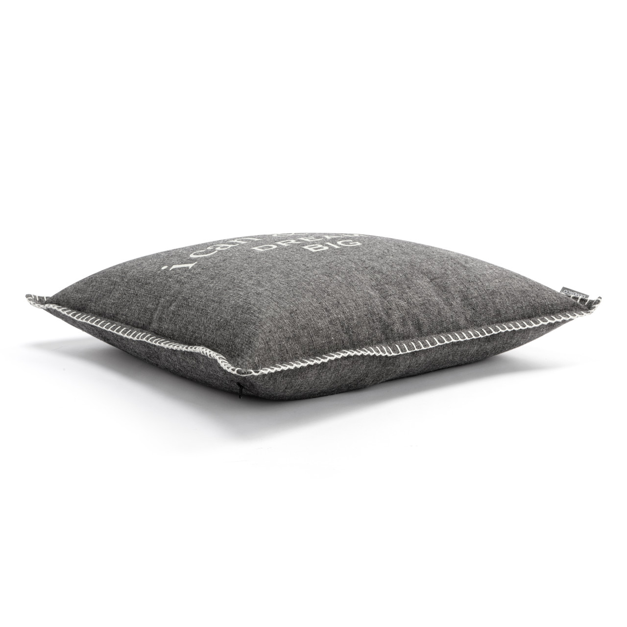 Dream Big Pillow thumbnail