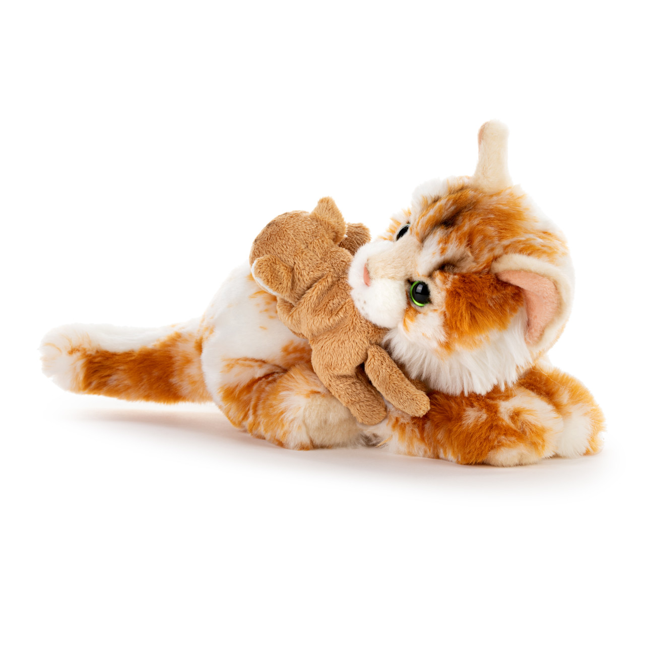 Maine Coon Cat and Baby thumbnail