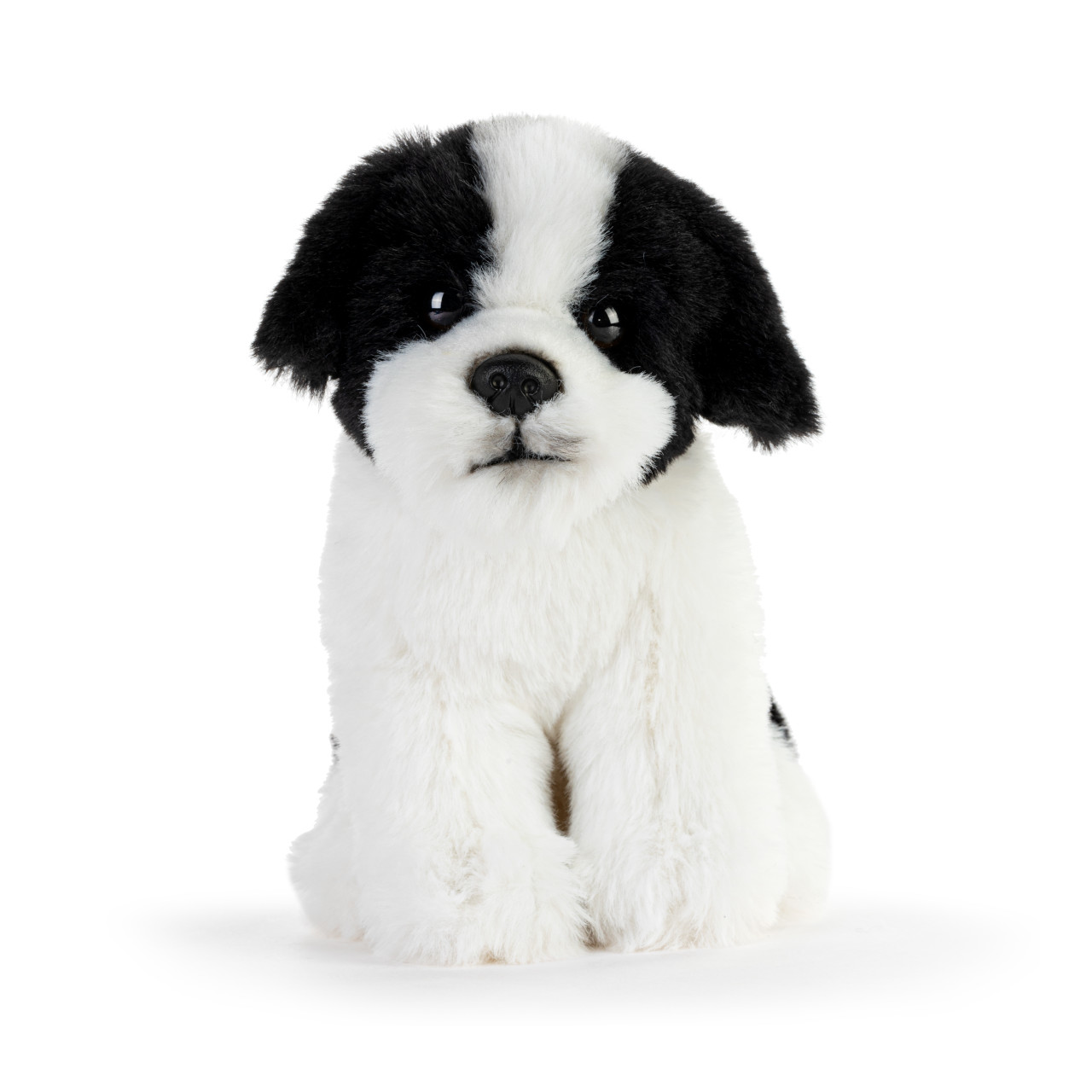 Havanese Beanbag thumbnail