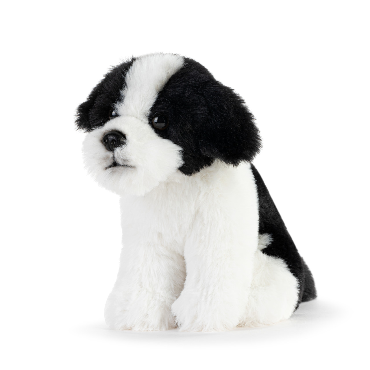 Havanese Beanbag thumbnail