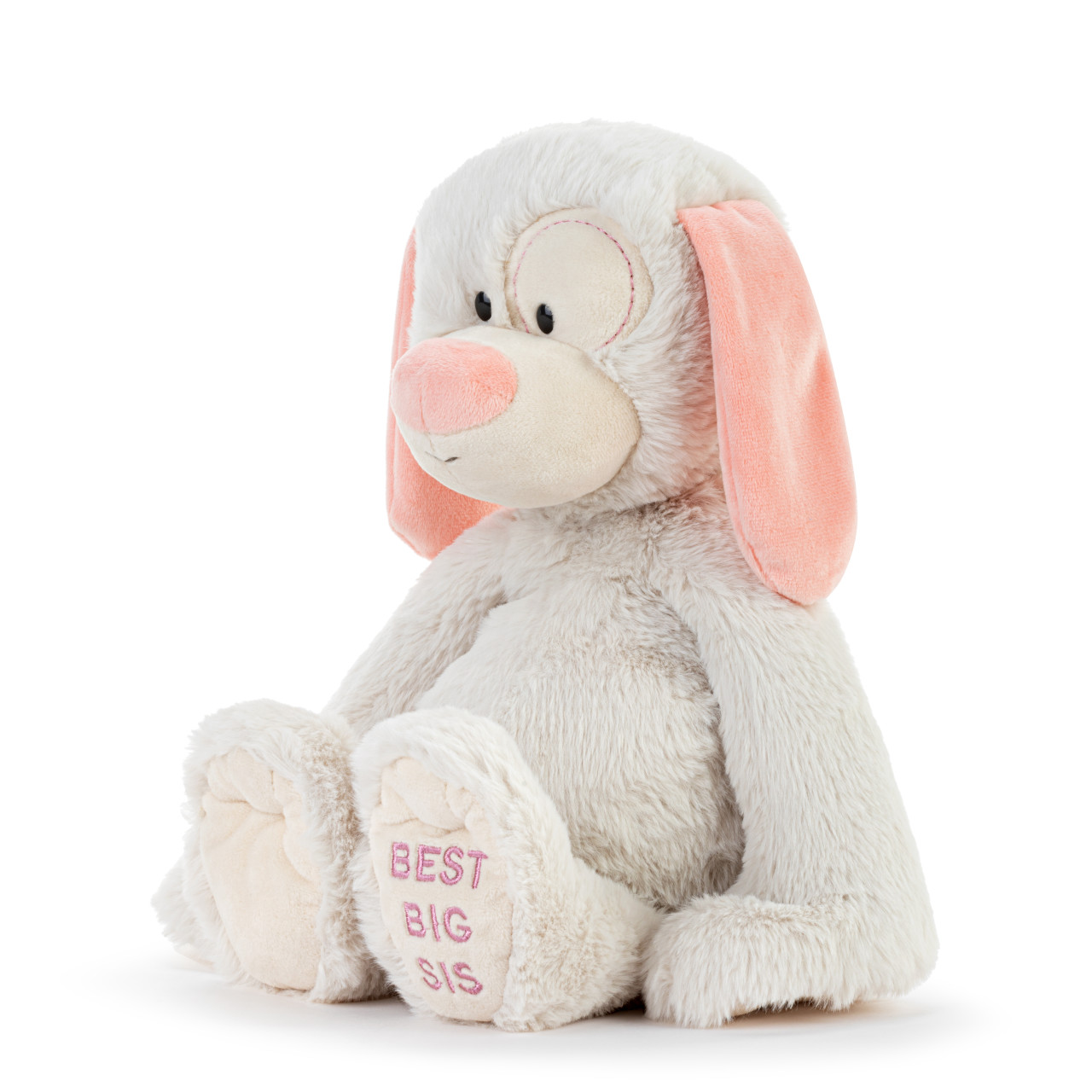 Best Big Sister Plush Dog 16" thumbnail