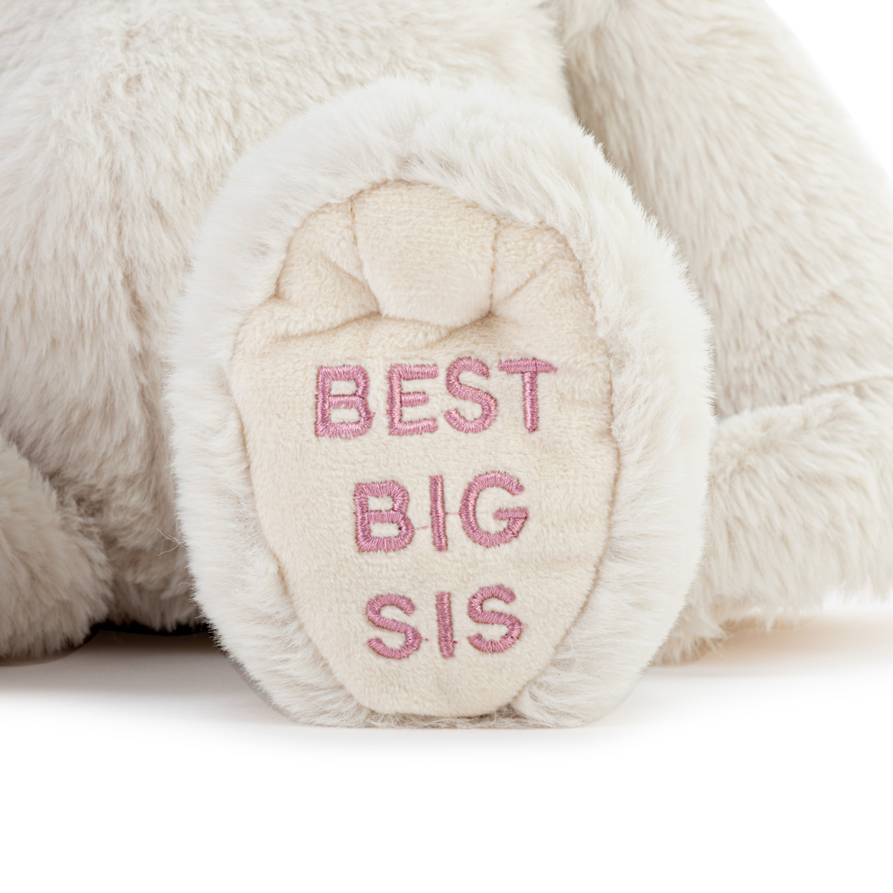 Best Big Sister Plush Dog 16" thumbnail