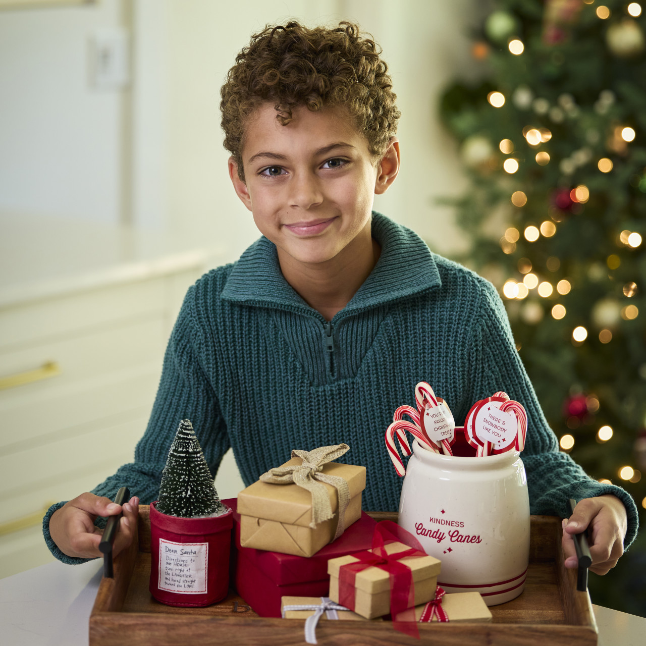 Plant Kindness - Dear Santa thumbnail