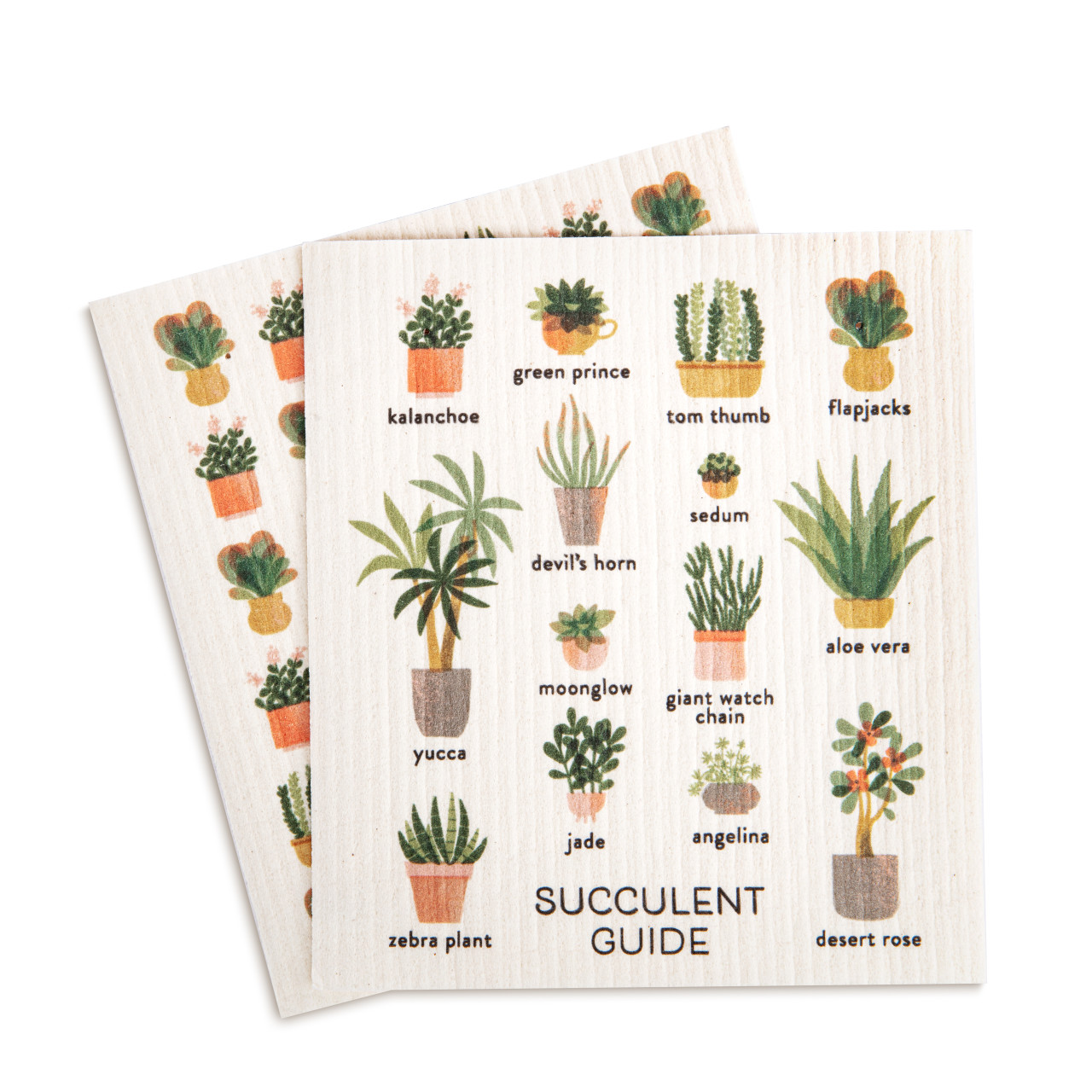 Biodegradable Dish Cloths Set of 2 - Succulent Guide thumbnail
