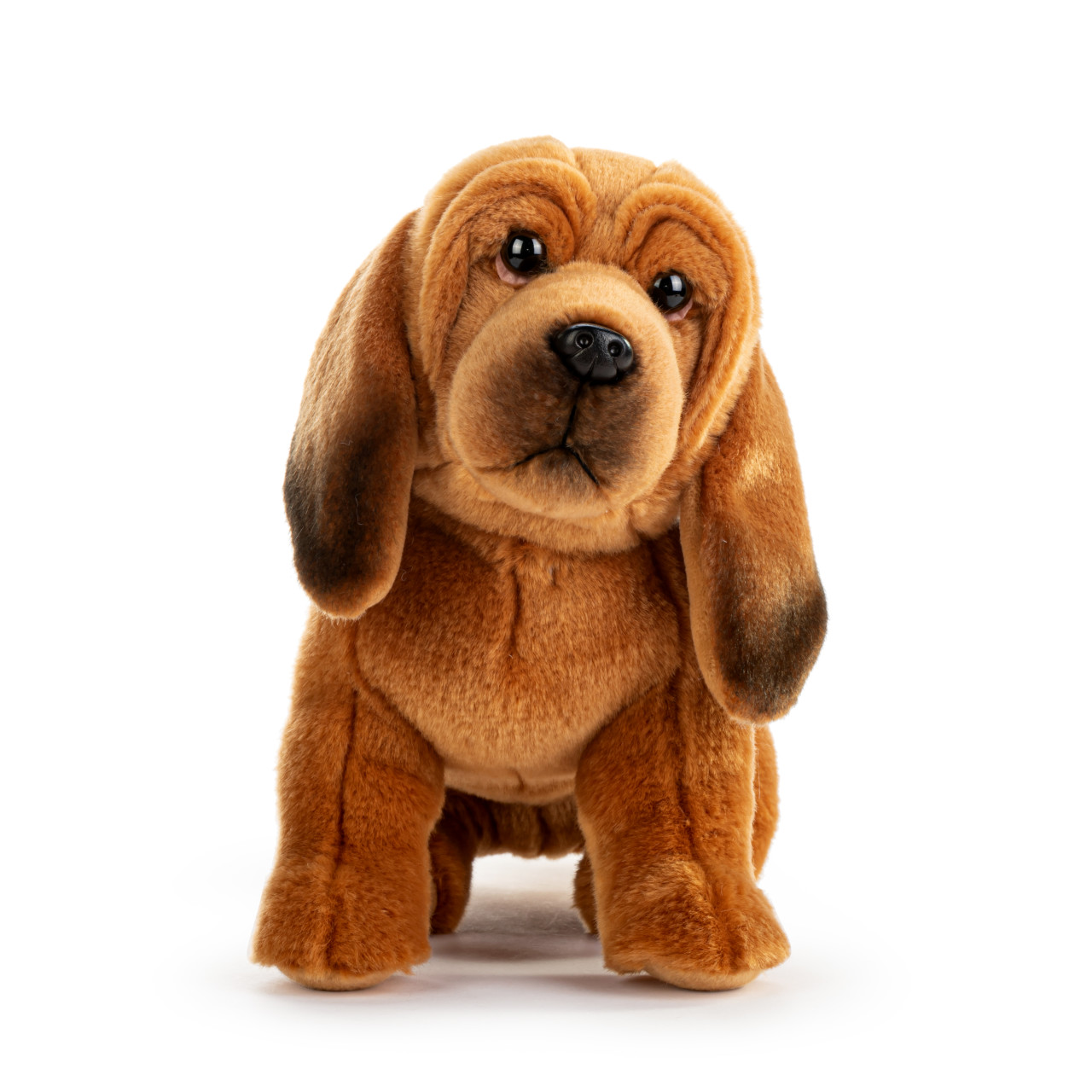 Bloodhound Large thumbnail