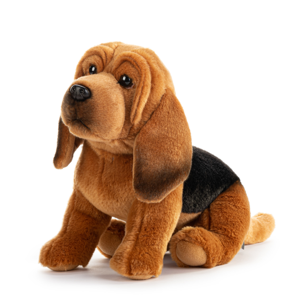 Bloodhound Large thumbnail