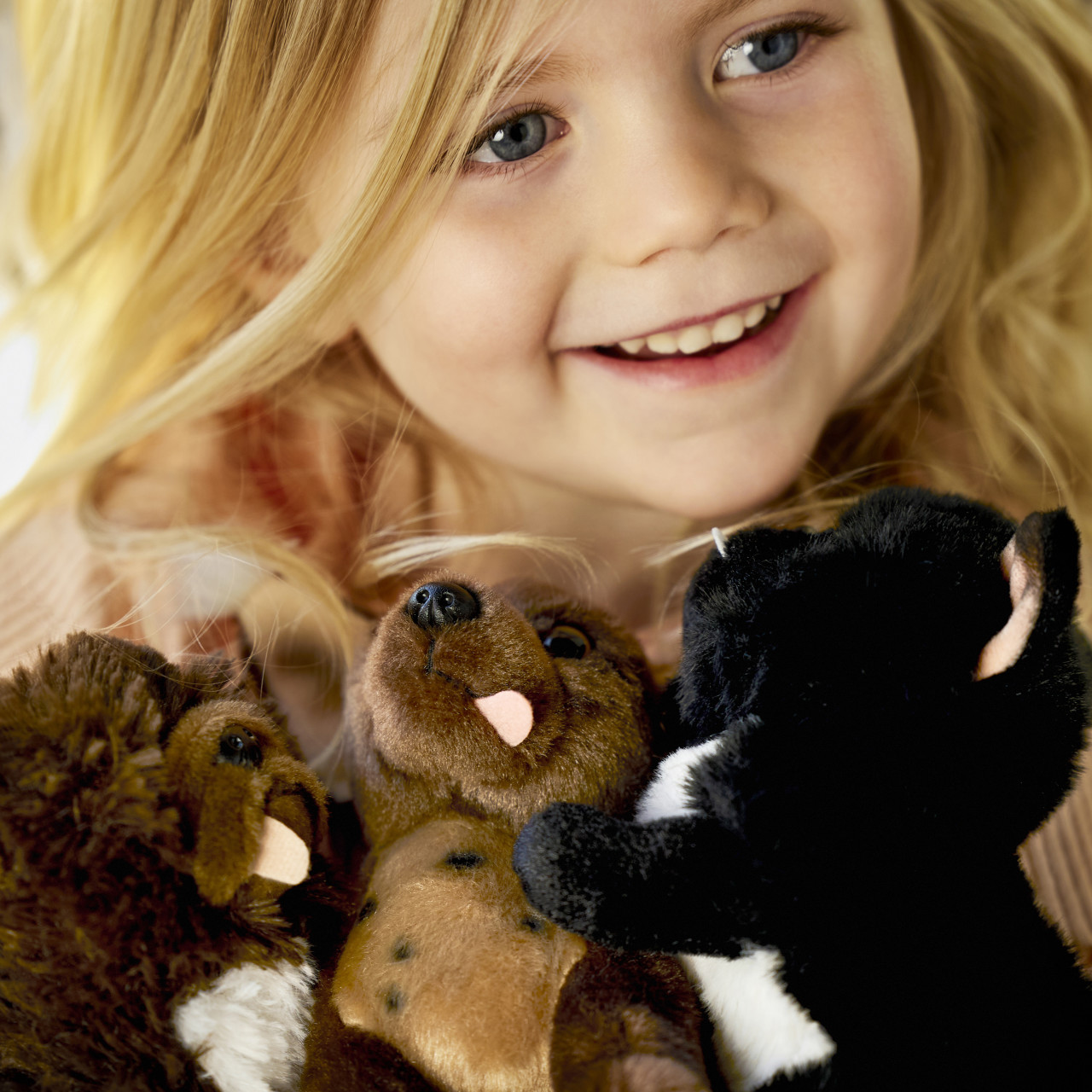 Chow Chow Mix Scruffy Beanbag thumbnail