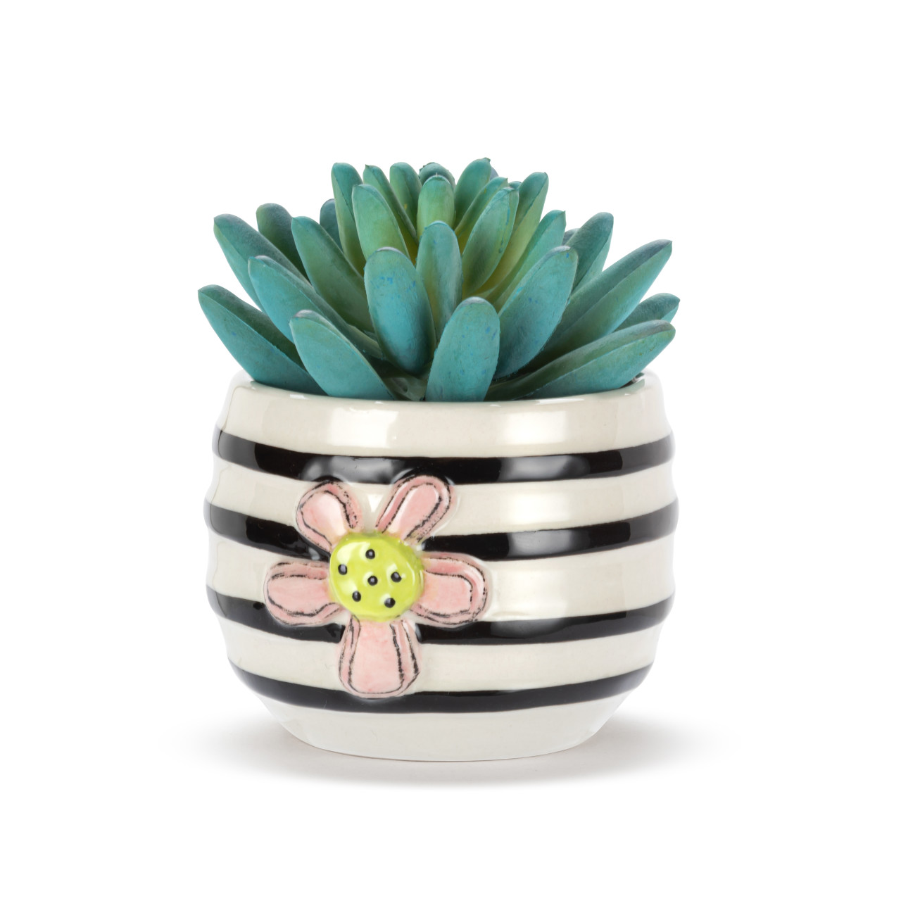 Mini Succulent - Flower thumbnail