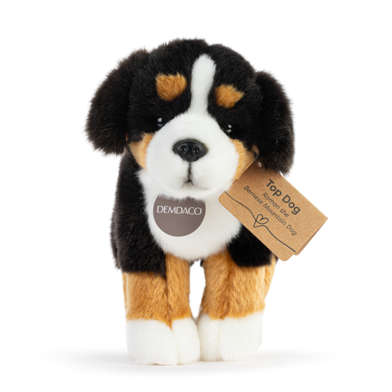 Bernese Mountain Dog Small thumbnail