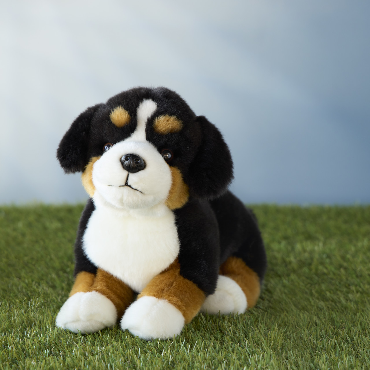 Bernese Mountain Dog Small thumbnail