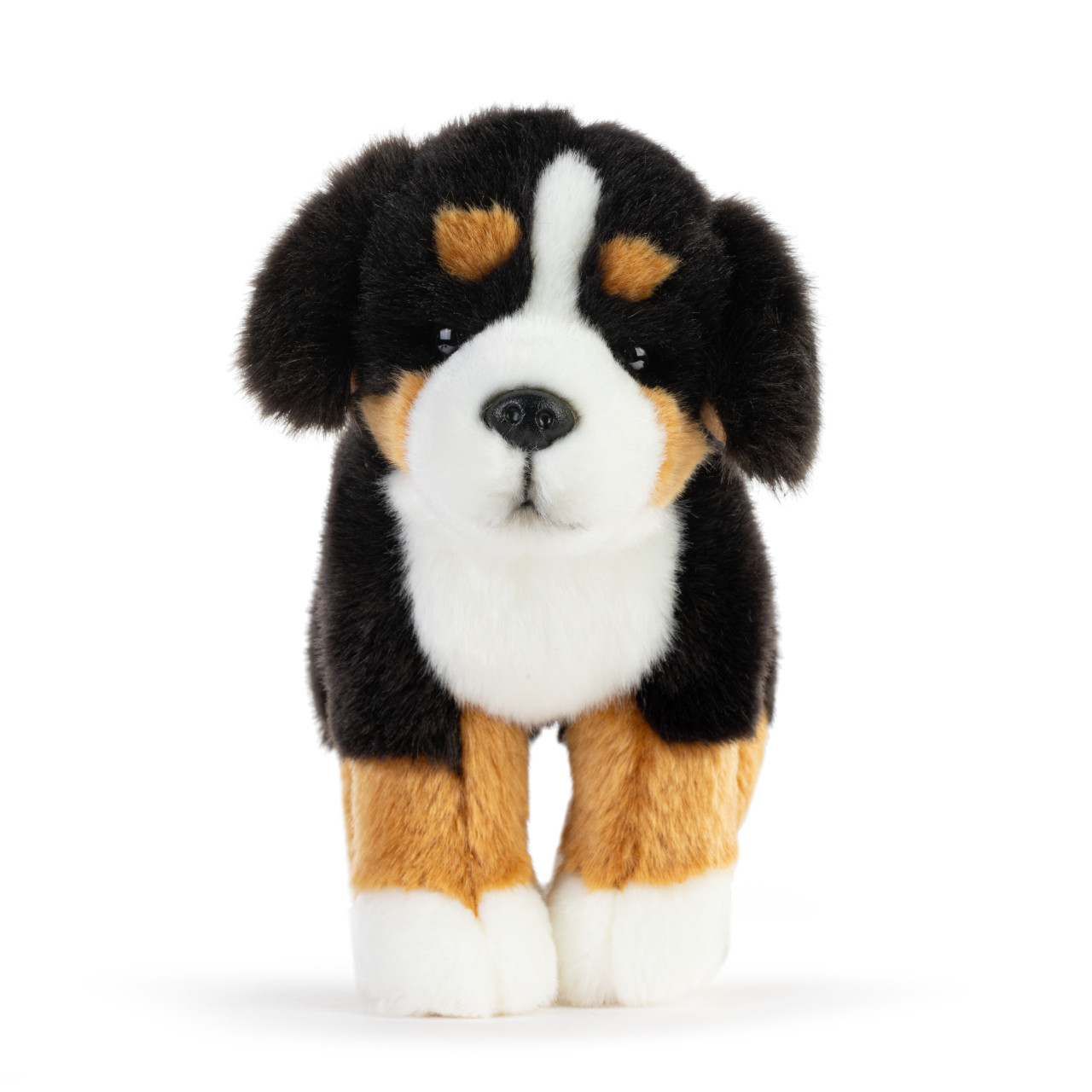 Bernese Mountain Dog Small thumbnail