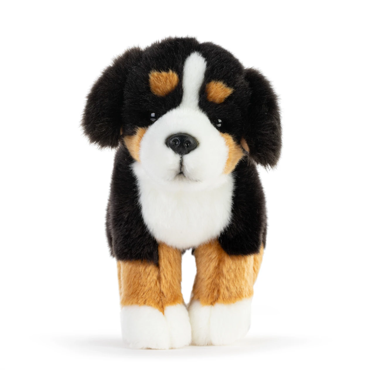 Bernese Mountain Dog Small thumbnail