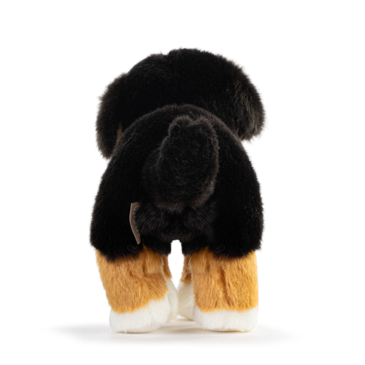 Bernese Mountain Dog Small thumbnail