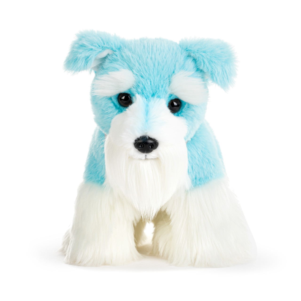 Schnauzer Small - Bright Teal thumbnail