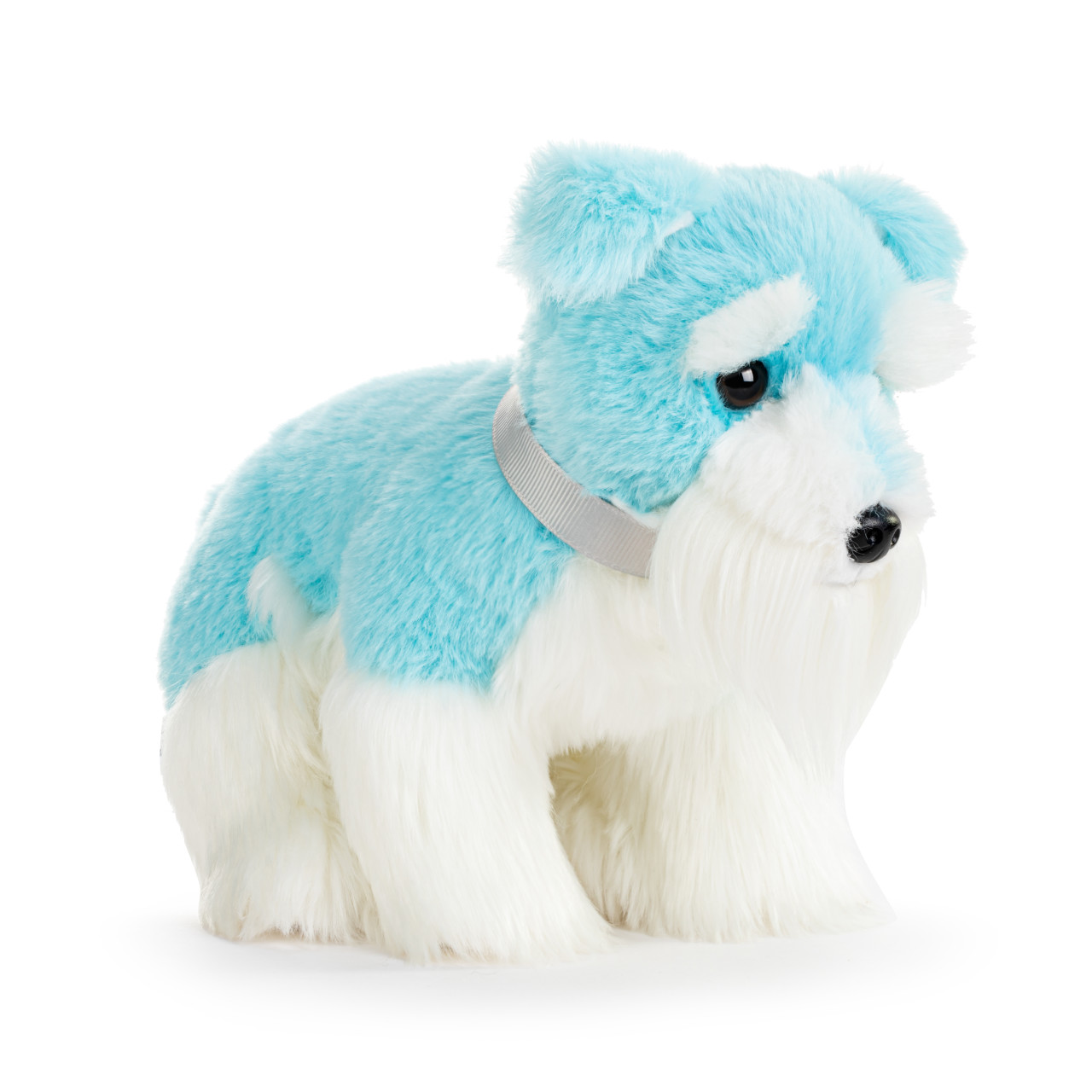 Schnauzer Small - Bright Teal thumbnail