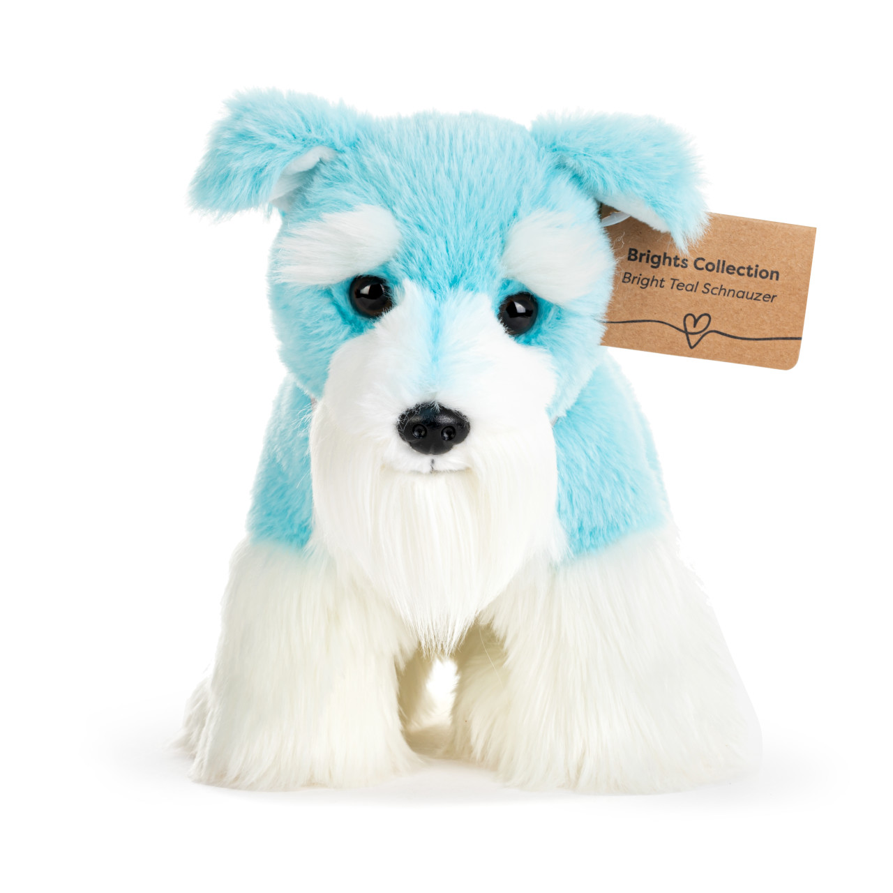 Schnauzer Small - Bright Teal thumbnail