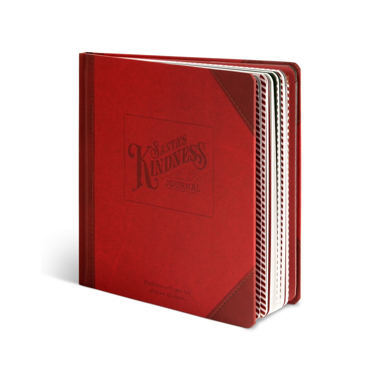 Santa's Kindness Journal thumbnail