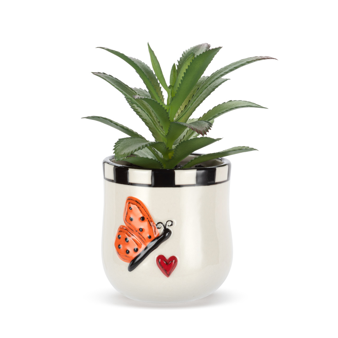 Mini Succulent - Butterfly thumbnail