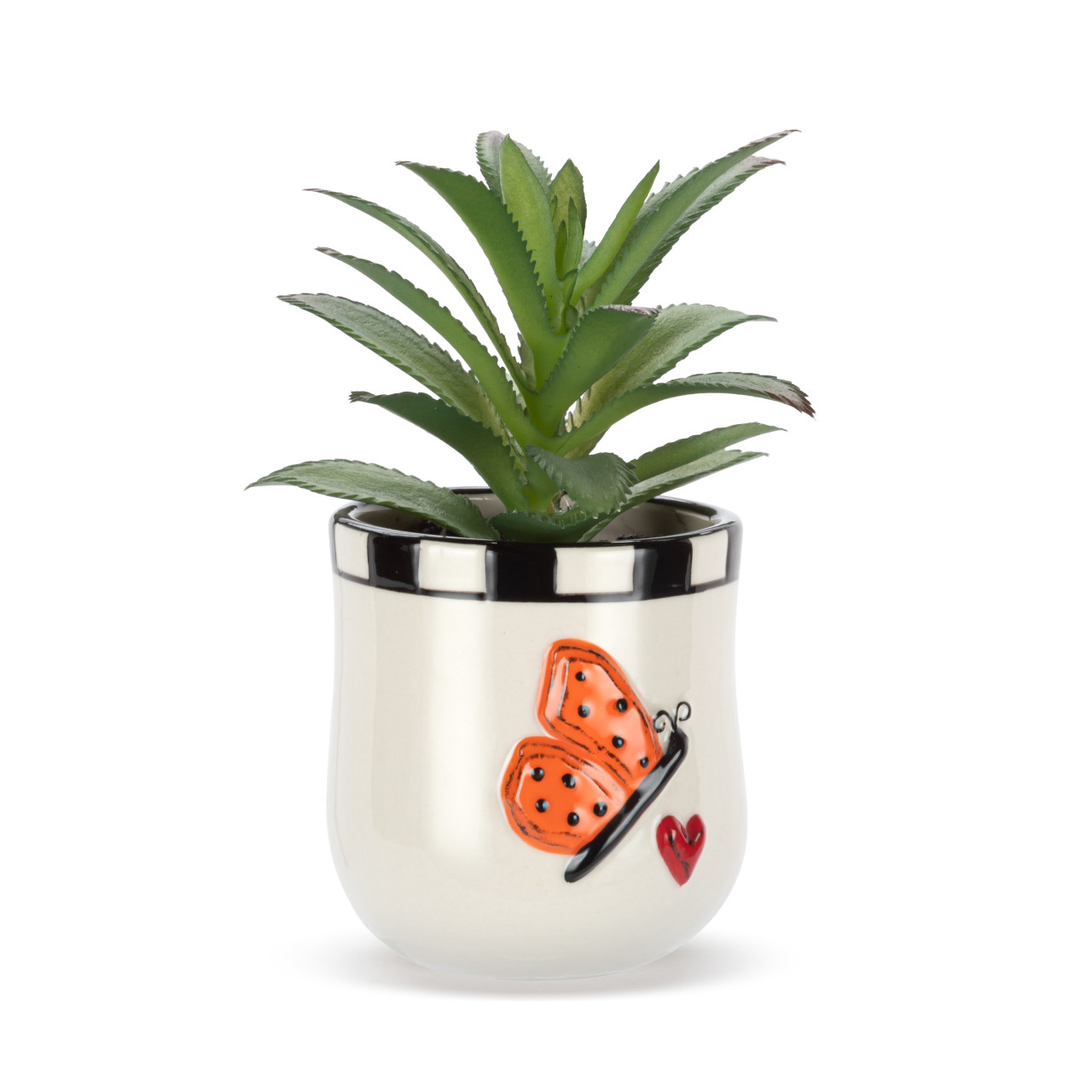 Mini Succulent - Butterfly thumbnail