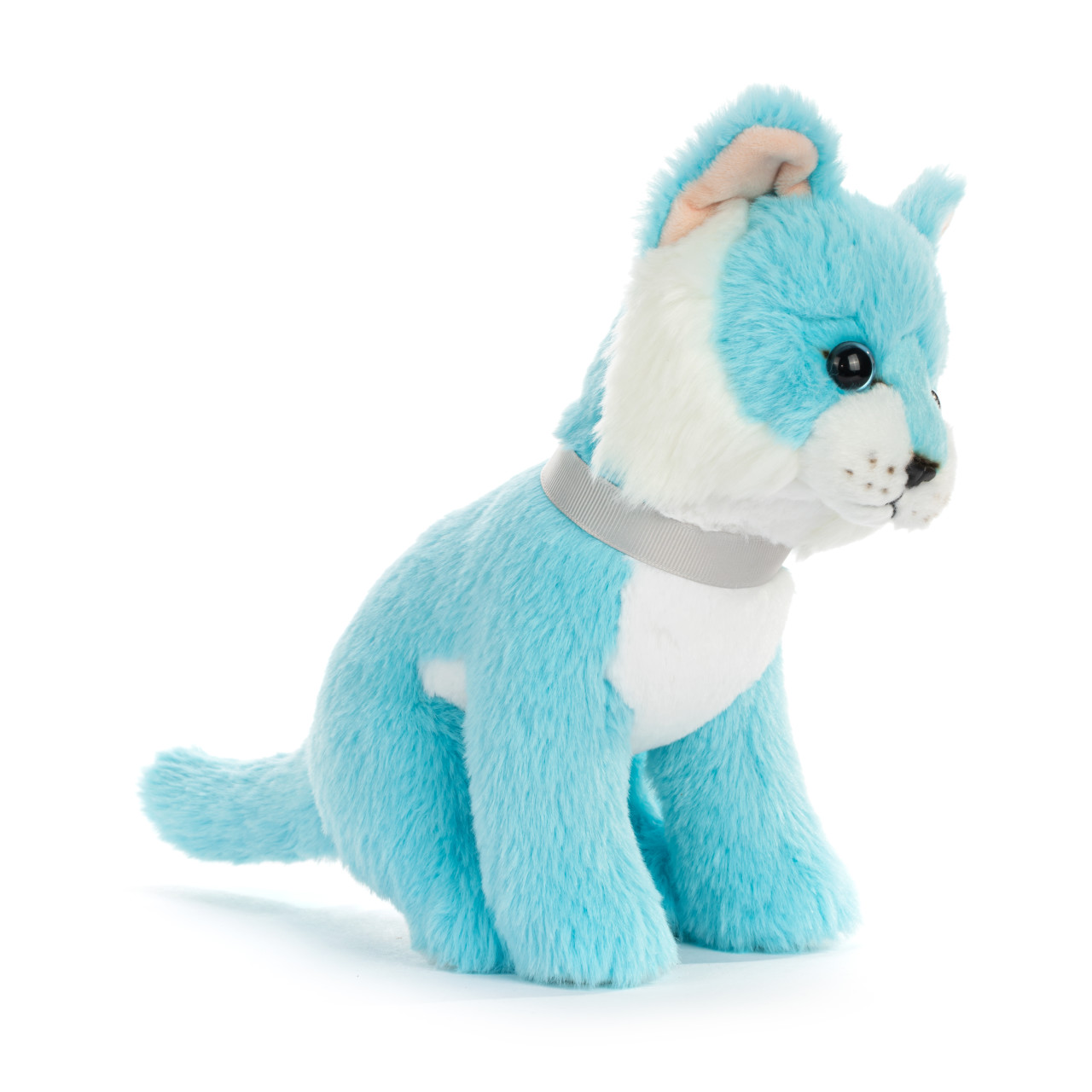 Cat Small - Bright Teal thumbnail