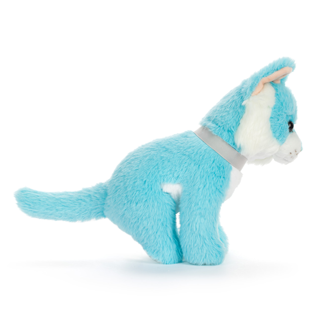Cat Small - Bright Teal thumbnail