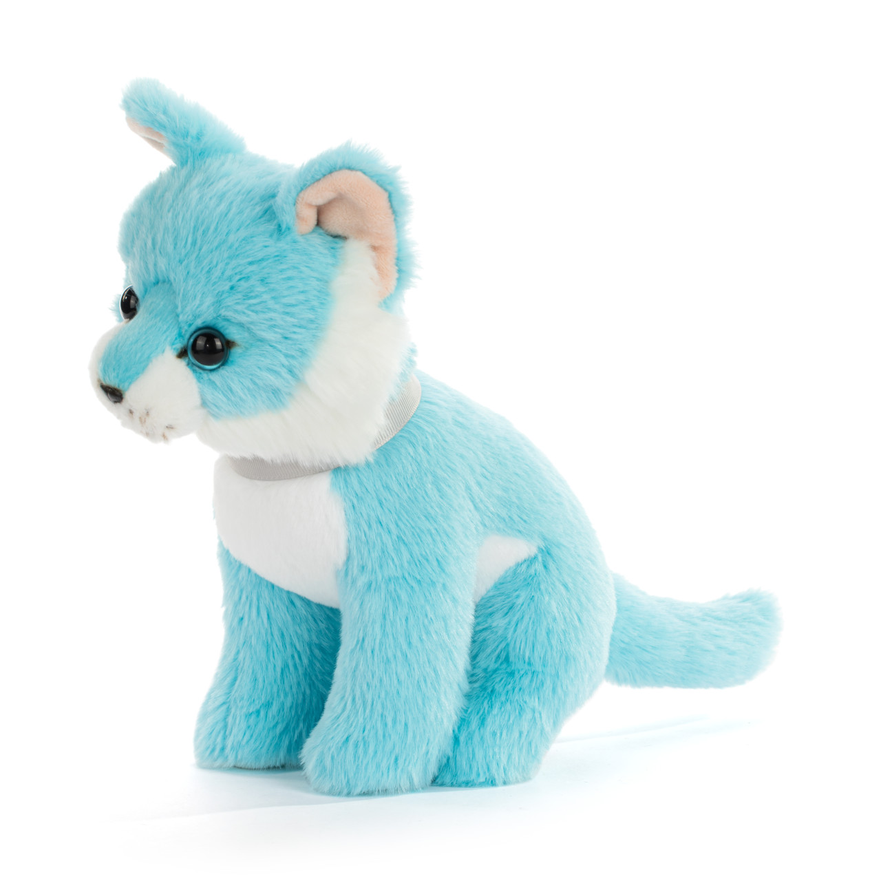 Cat Small - Bright Teal thumbnail