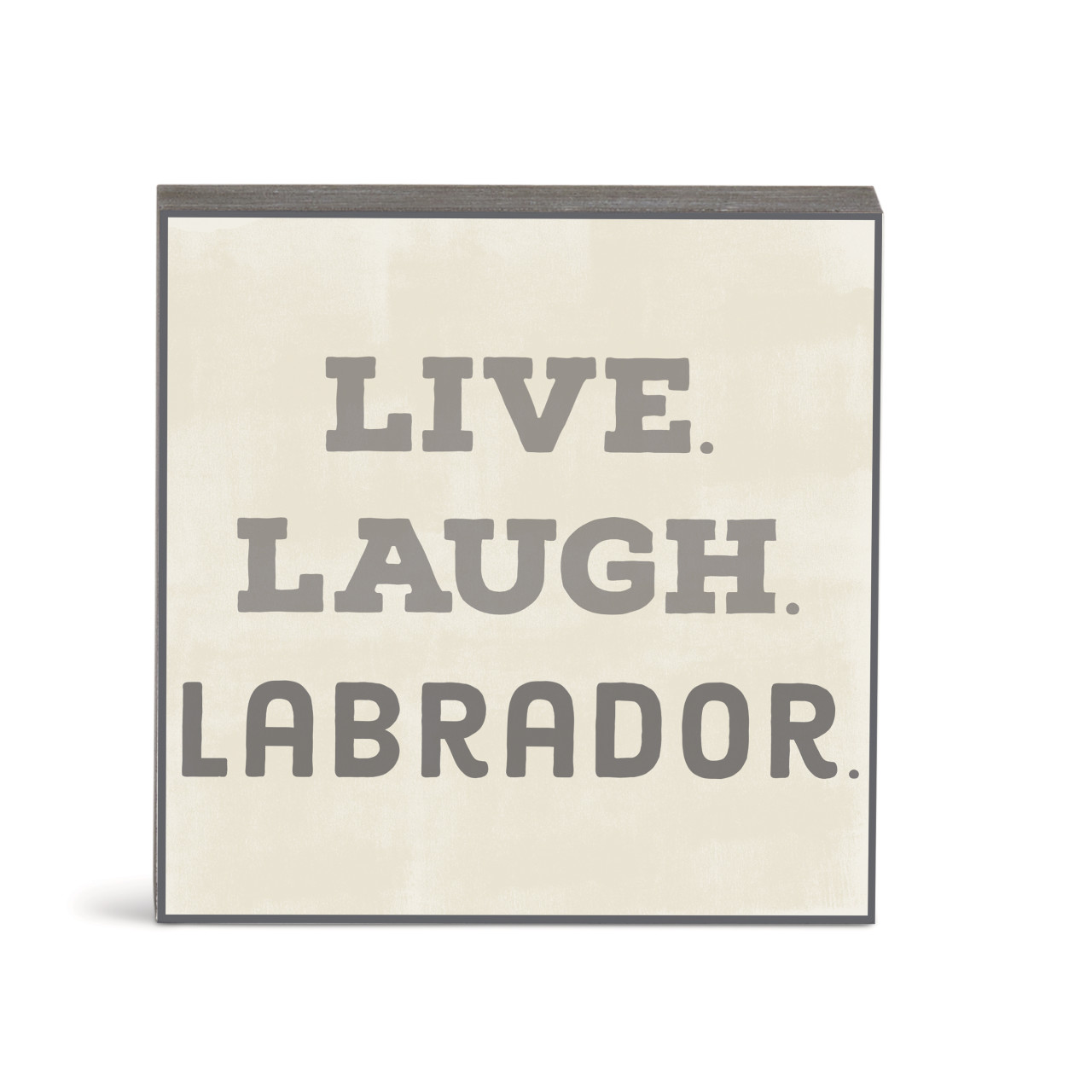 Live Laugh Labrador Wall Art - 6"sq. thumbnail
