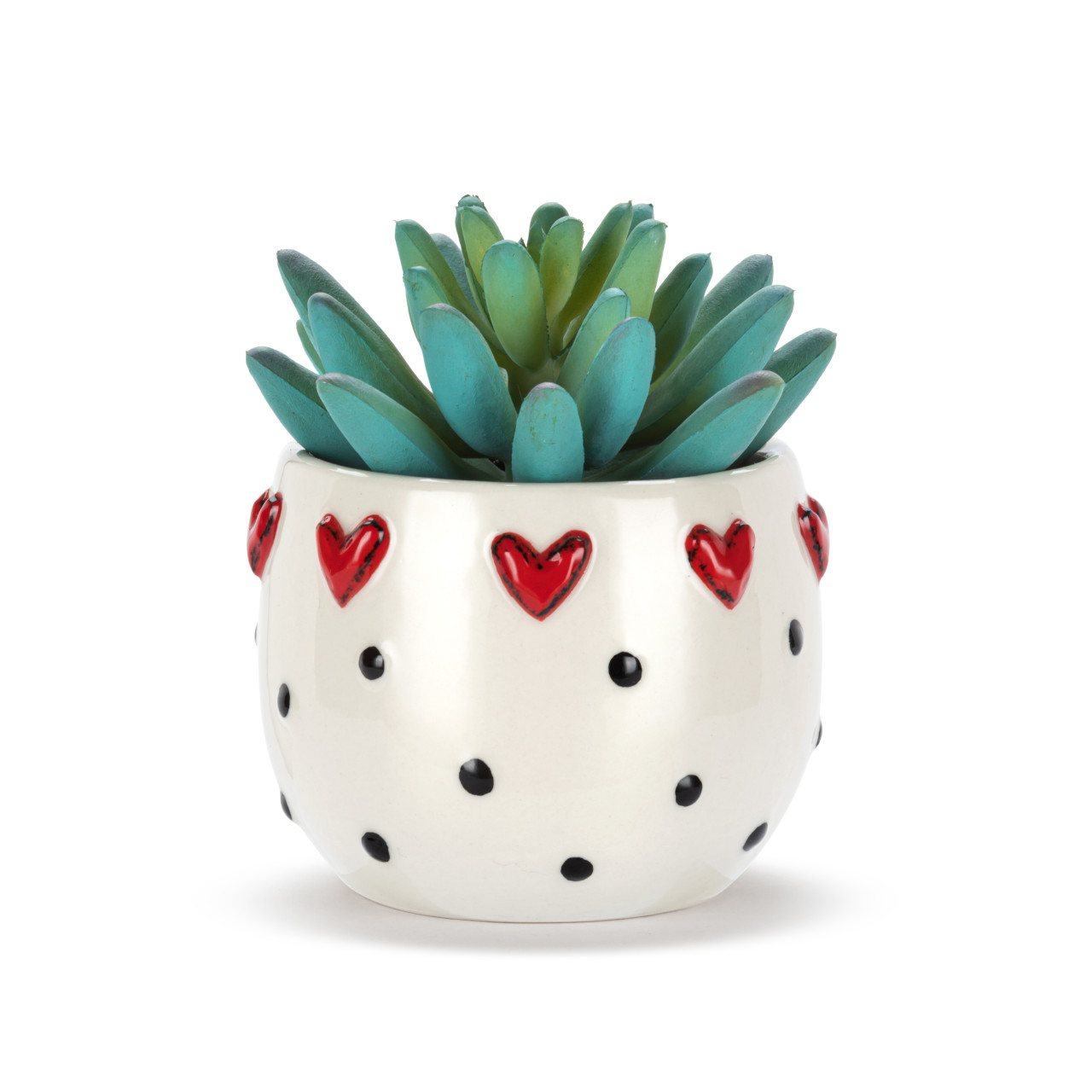 Mini Succulent - Mini Hearts thumbnail