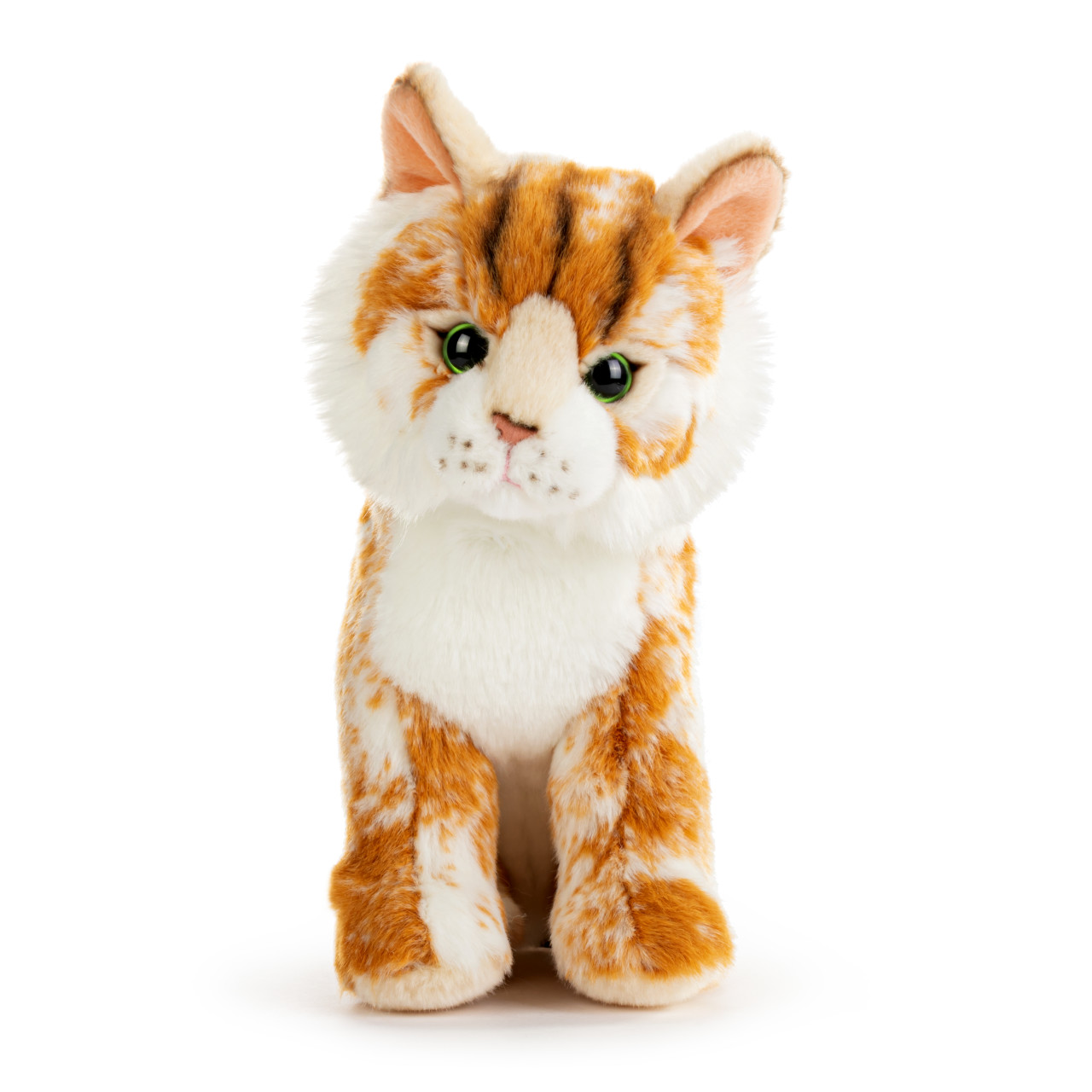 Maine Coon Cat Small thumbnail