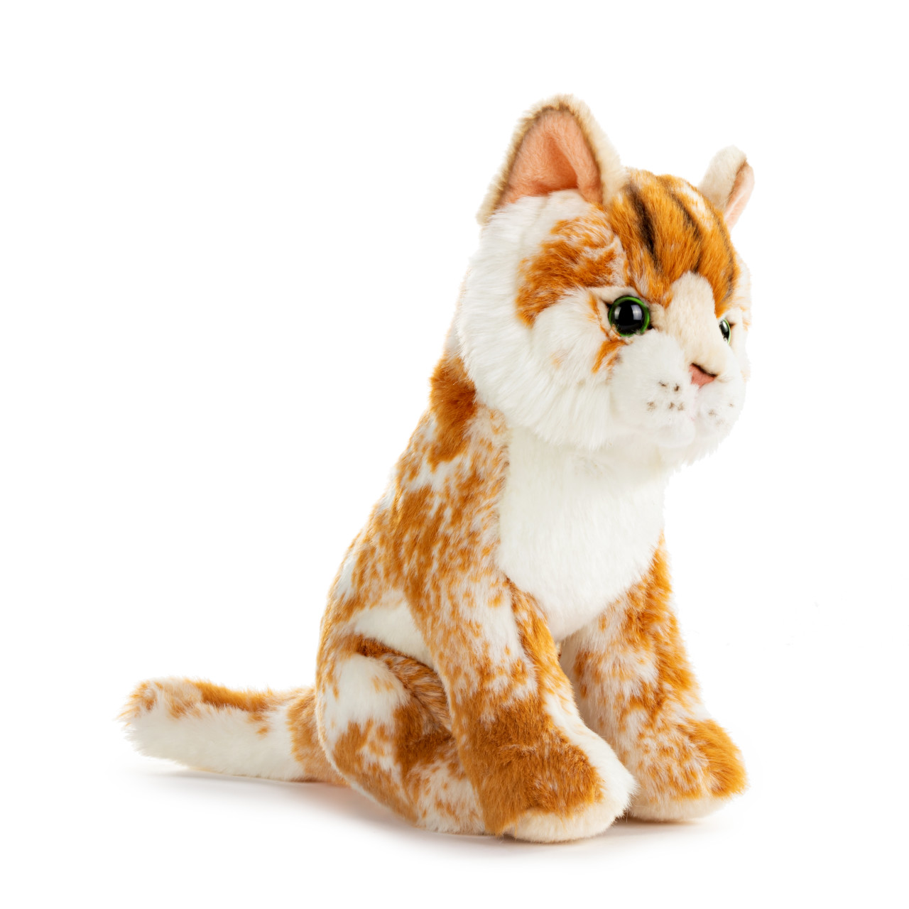 Maine Coon Cat Small thumbnail