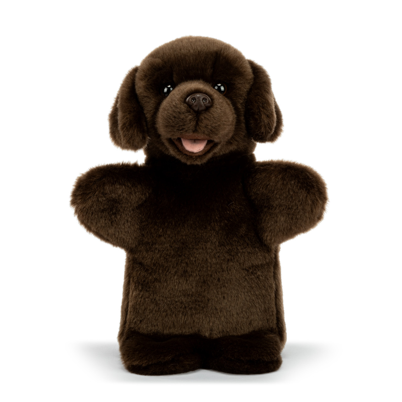 Chocolate Lab Puppet thumbnail