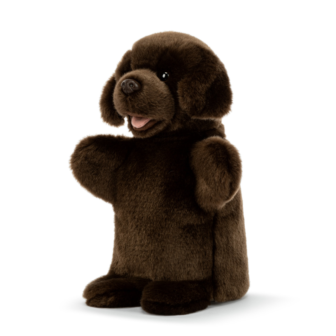Chocolate Lab Puppet thumbnail