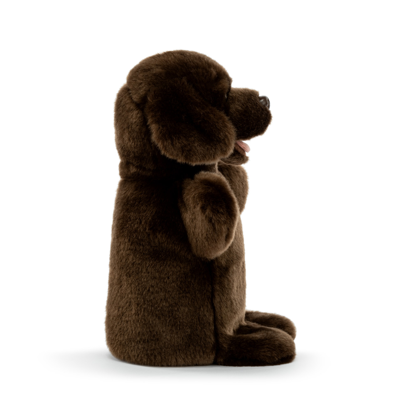 Chocolate Lab Puppet thumbnail