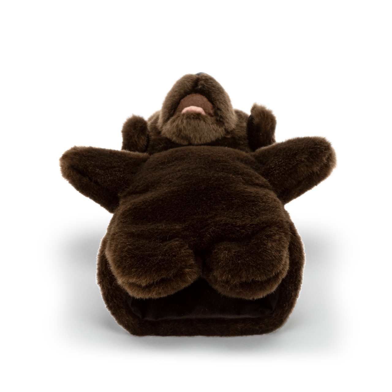 Chocolate Lab Puppet thumbnail