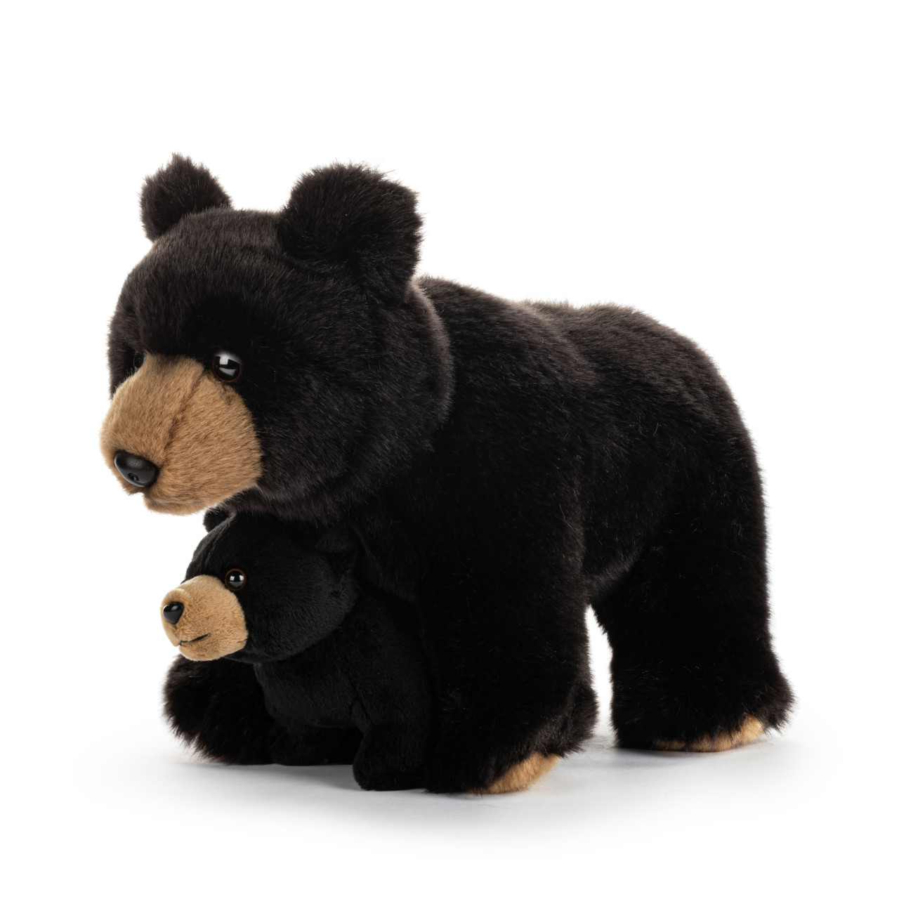 Black Bear and Baby thumbnail