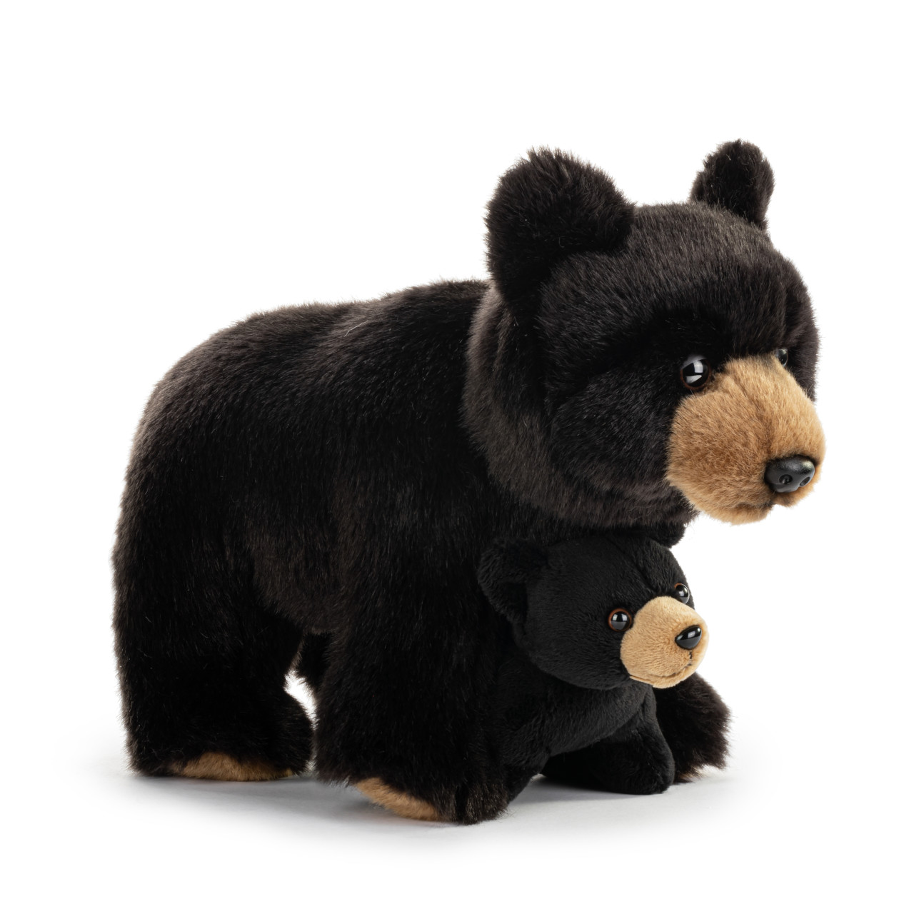 Black Bear and Baby thumbnail