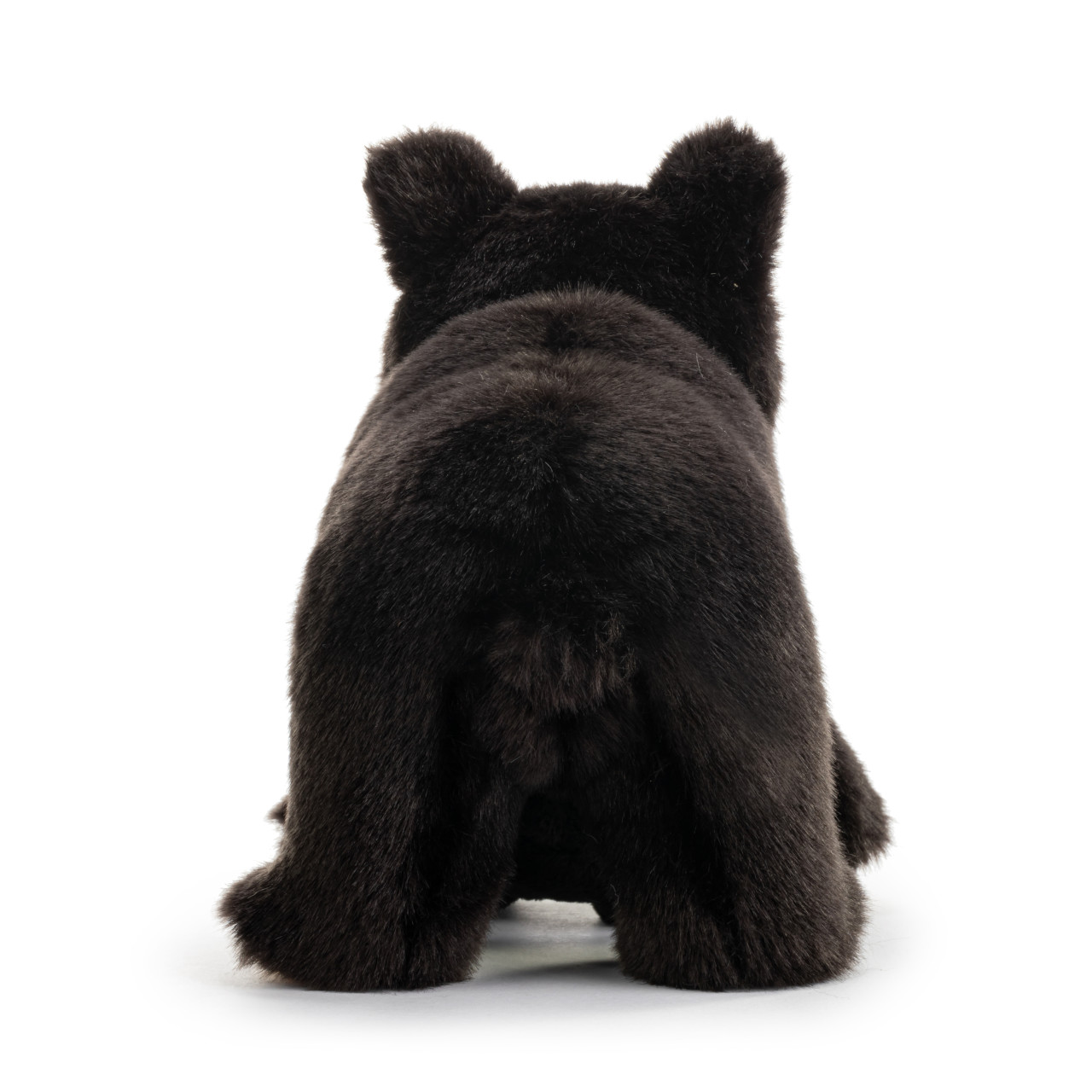 Black Bear and Baby thumbnail