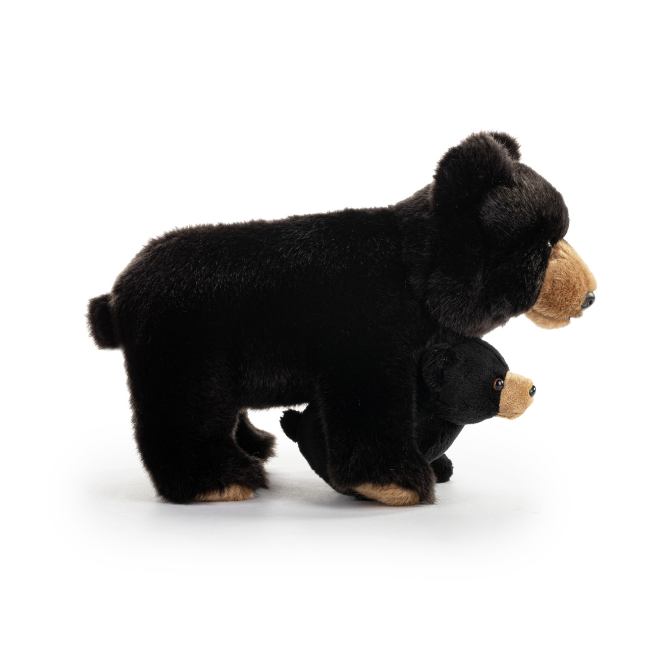 Black Bear and Baby thumbnail