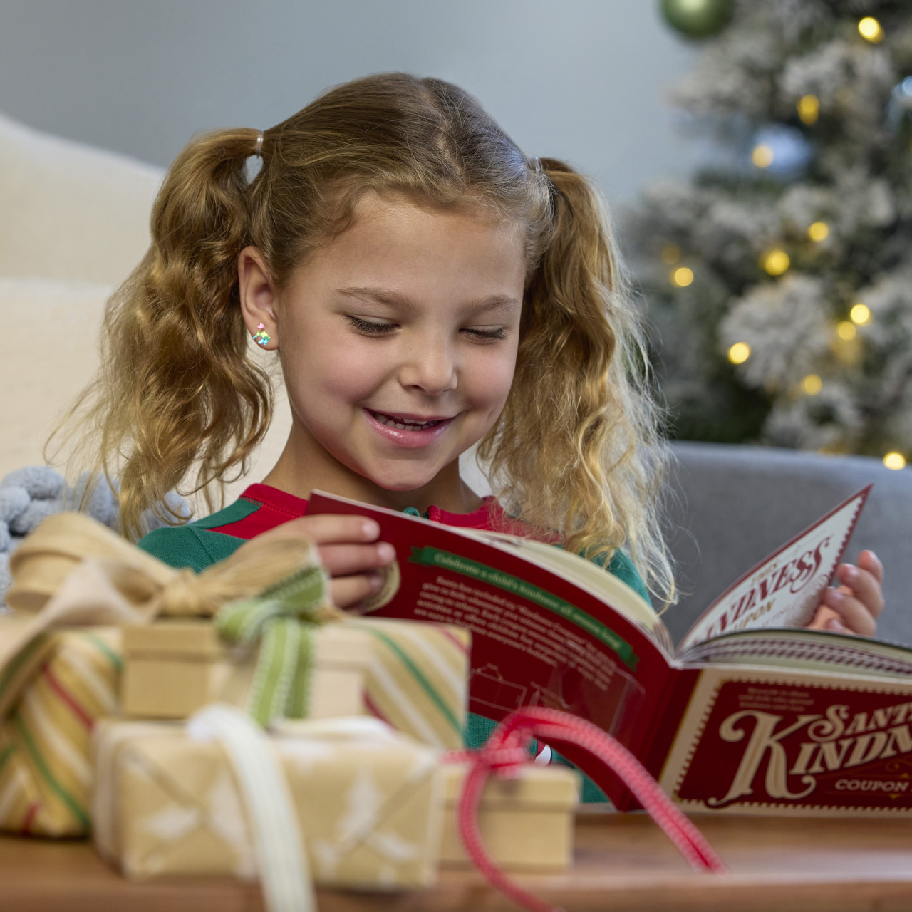 Santa's Kindness Coupon Booklet thumbnail