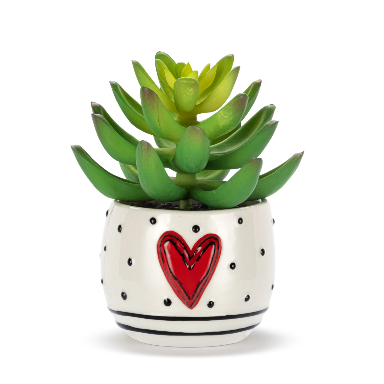 Mini Succulent - Heart & Dots thumbnail