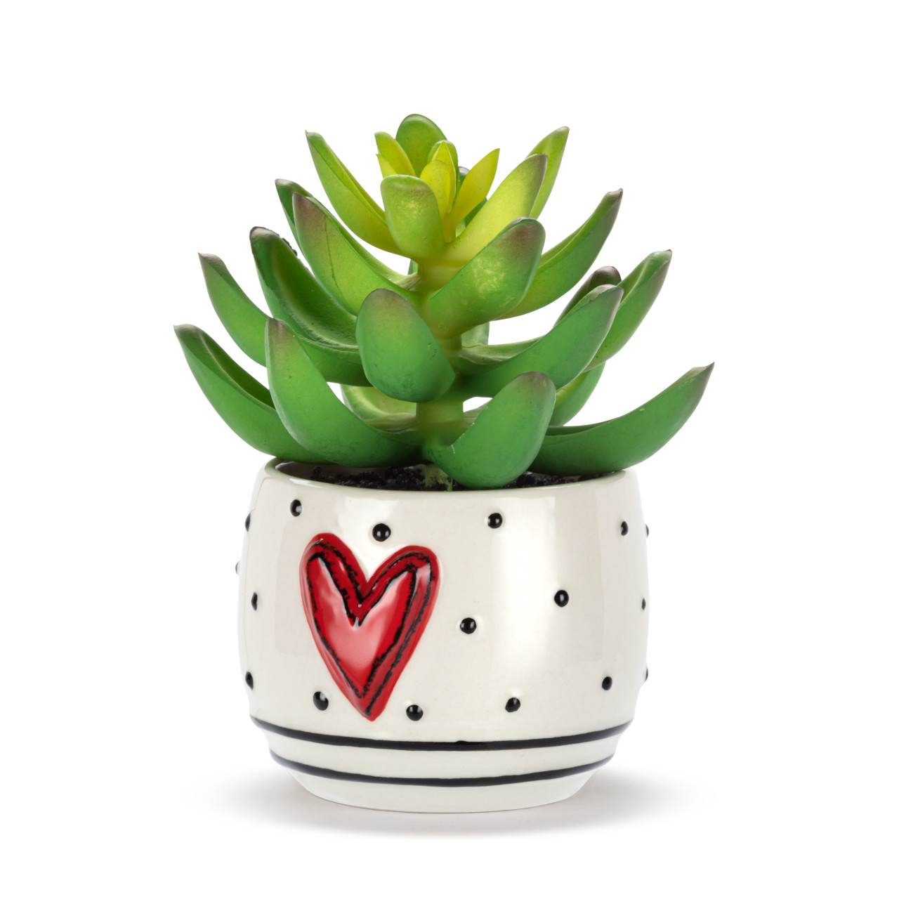 Mini Succulent - Heart & Dots thumbnail