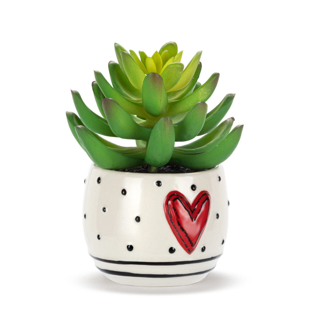 Mini Succulent - Heart & Dots thumbnail