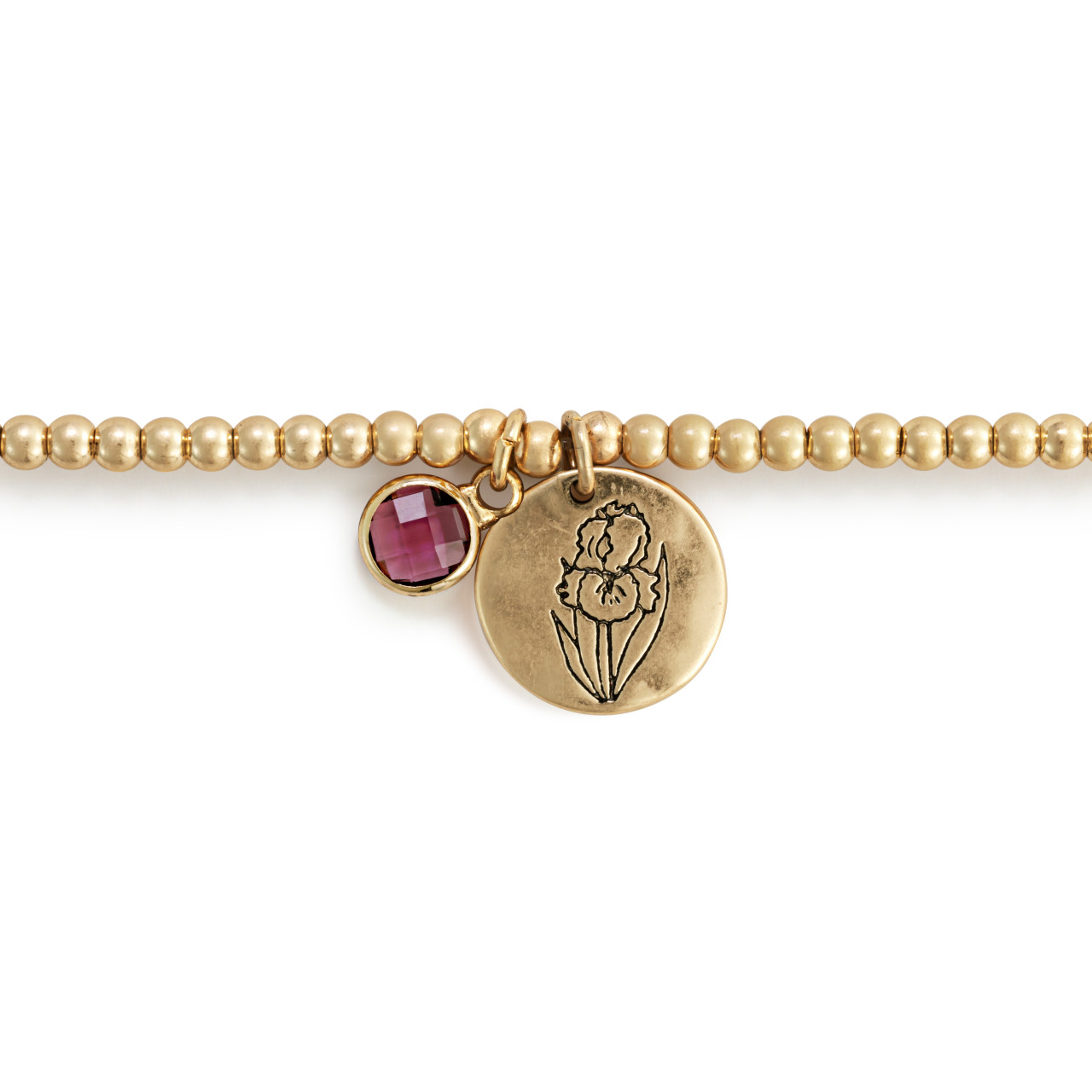 Birthstone Charm Bracelet - February thumbnail