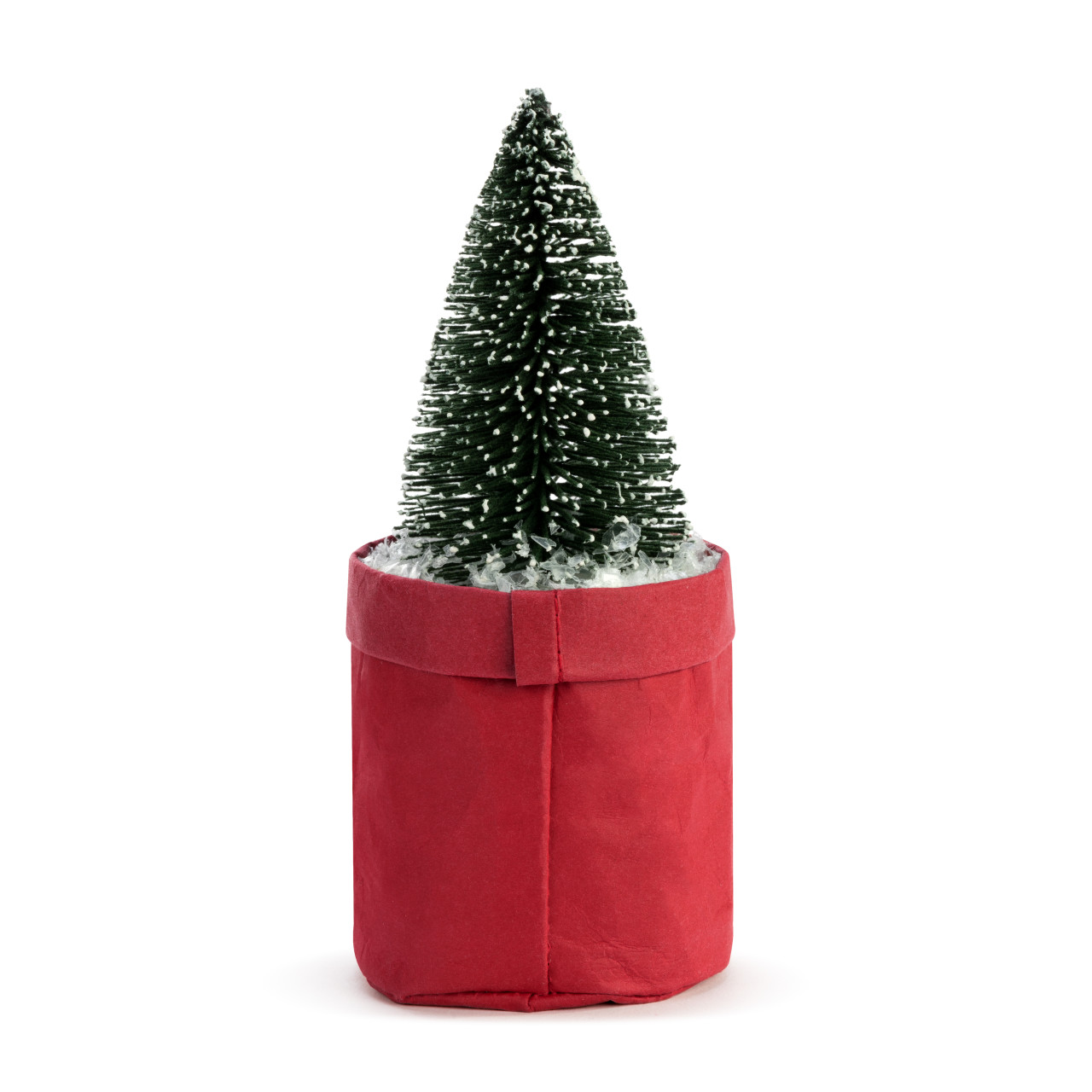 Plant Kindness - 'Tis the Season thumbnail