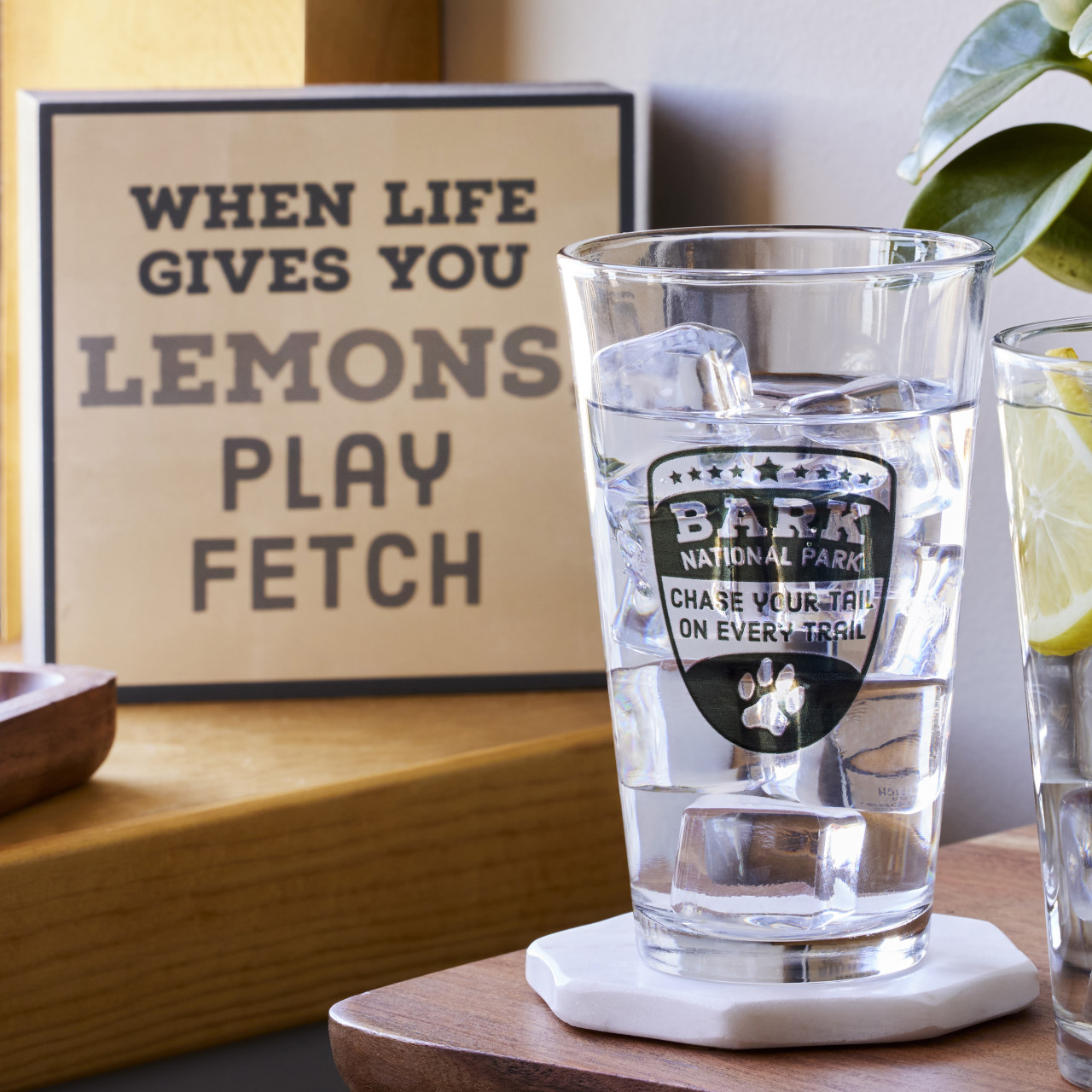 Play Fetch Wall Art - 10"sq. thumbnail