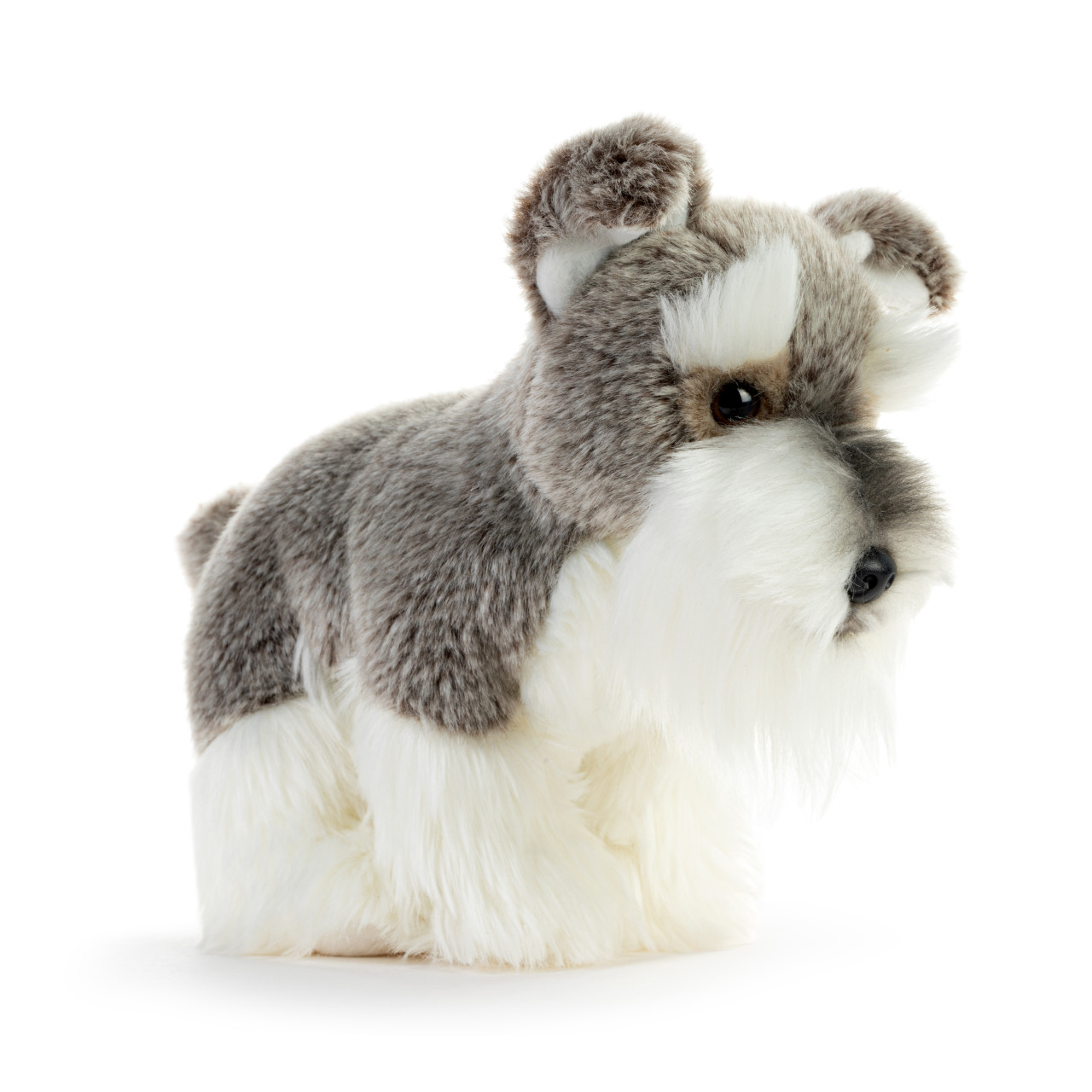Schnauzer Small thumbnail