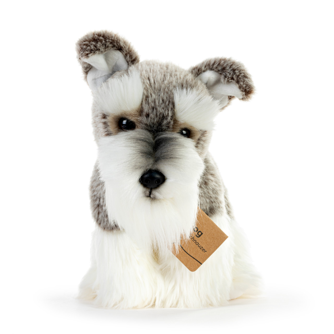 Schnauzer Small thumbnail