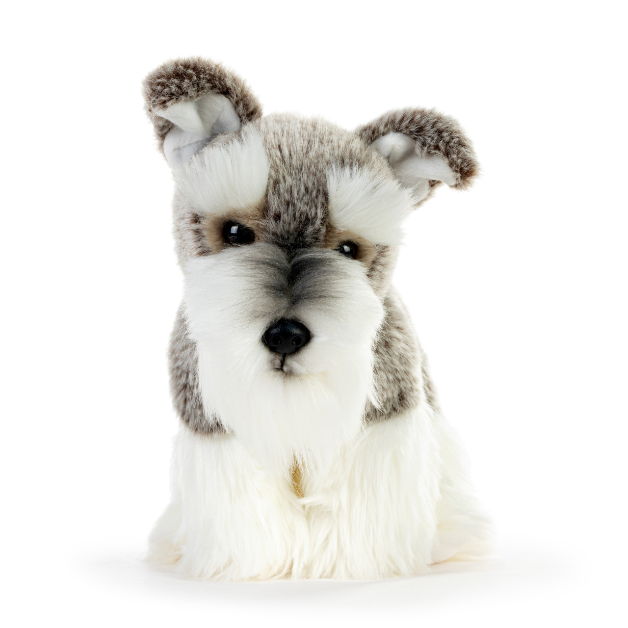 Schnauzer Small thumbnail