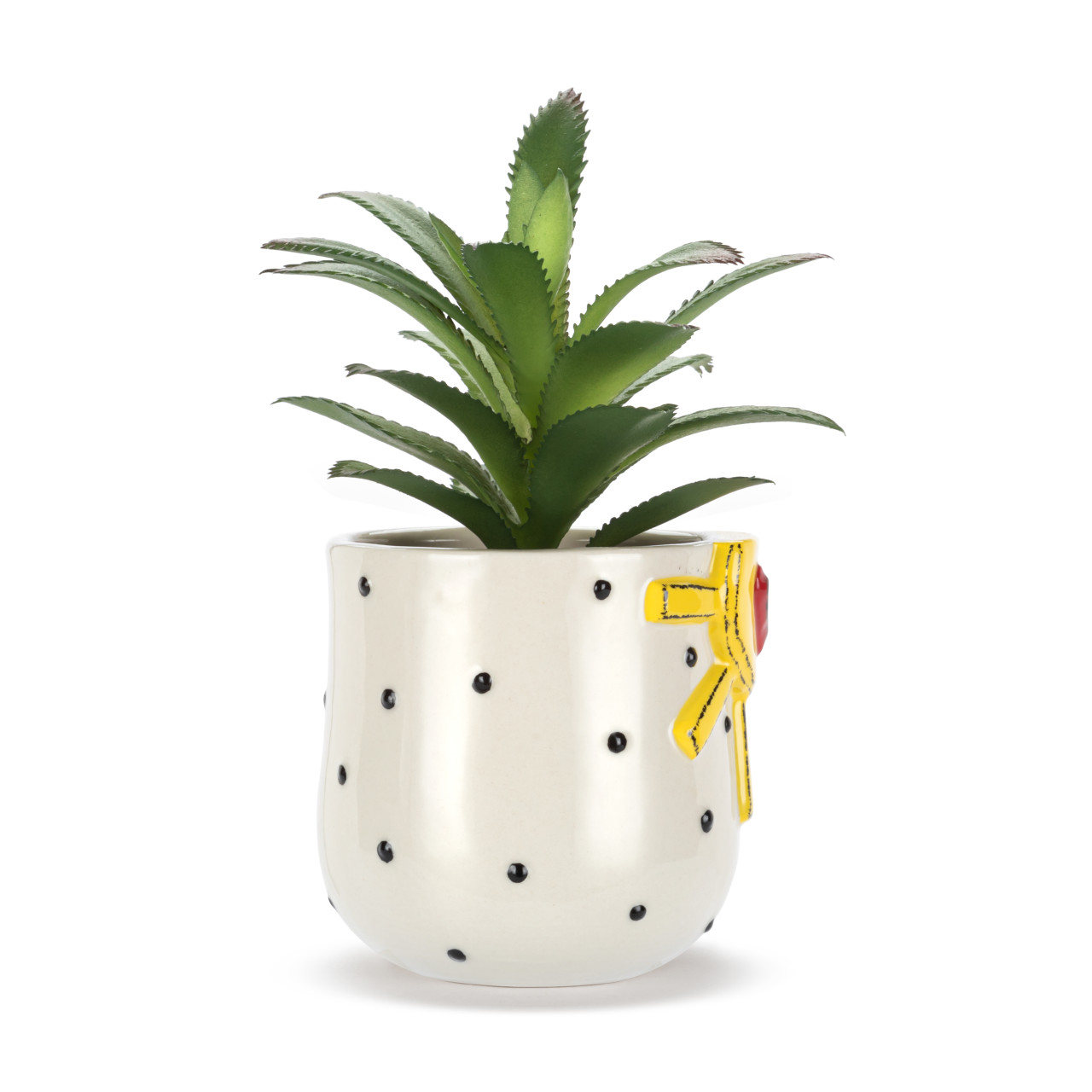 Mini Succulent - Sun & Dots thumbnail